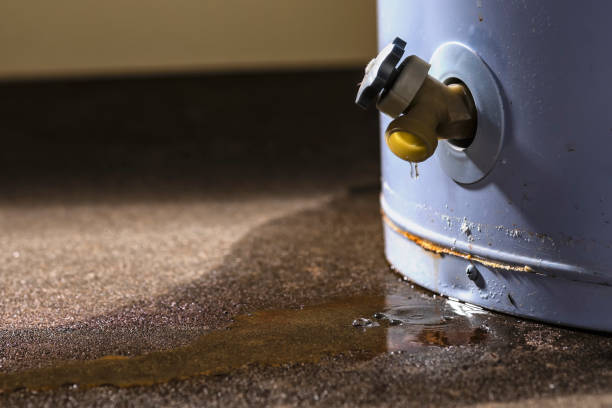 Best Flooded house restoration  in Rio Rico, AZ