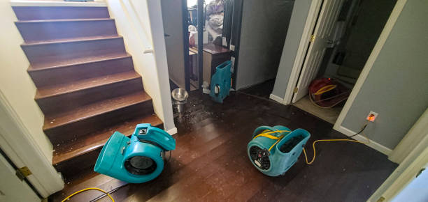 Best Water damage restoration cost  in Rio Rico, AZ