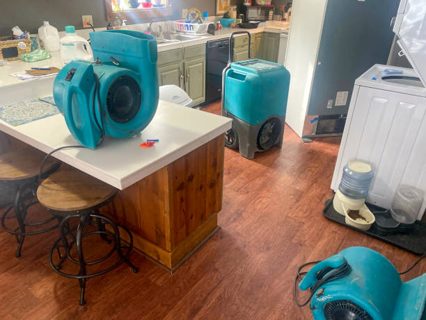 Best Water damage repair service  in Rio Rico, AZ