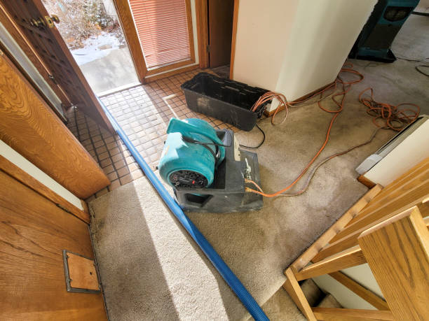 Best Water damage restoration insurance claims  in Rio Rico, AZ