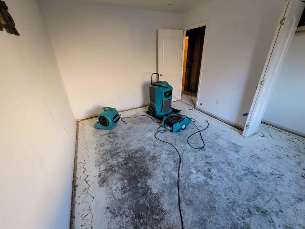 Best Carpet water damage restoration  in Rio Rico, AZ