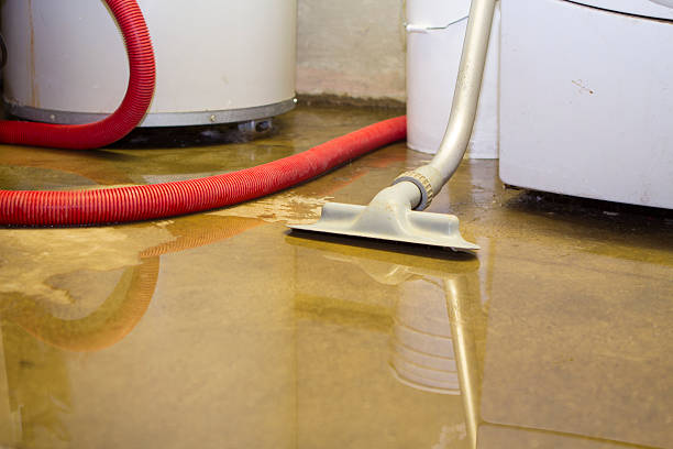 Best Water damage contractors near me  in Rio Rico, AZ