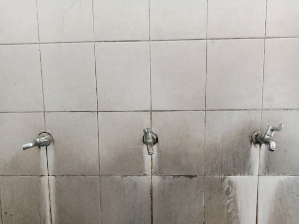 Best Water damage restoration near me  in Rio Rico, AZ