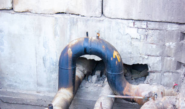 Best Water damage cleanup near me  in Rio Rico, AZ
