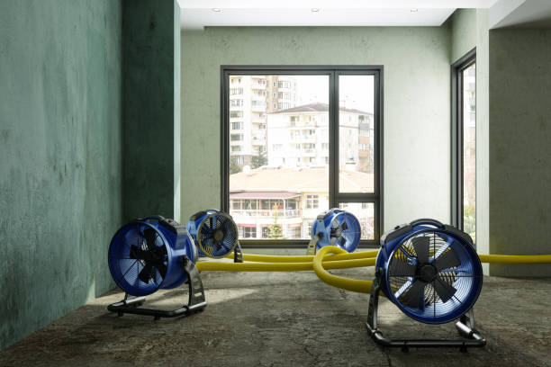 Water damage restoration insurance claims in Rio Rico, AZ